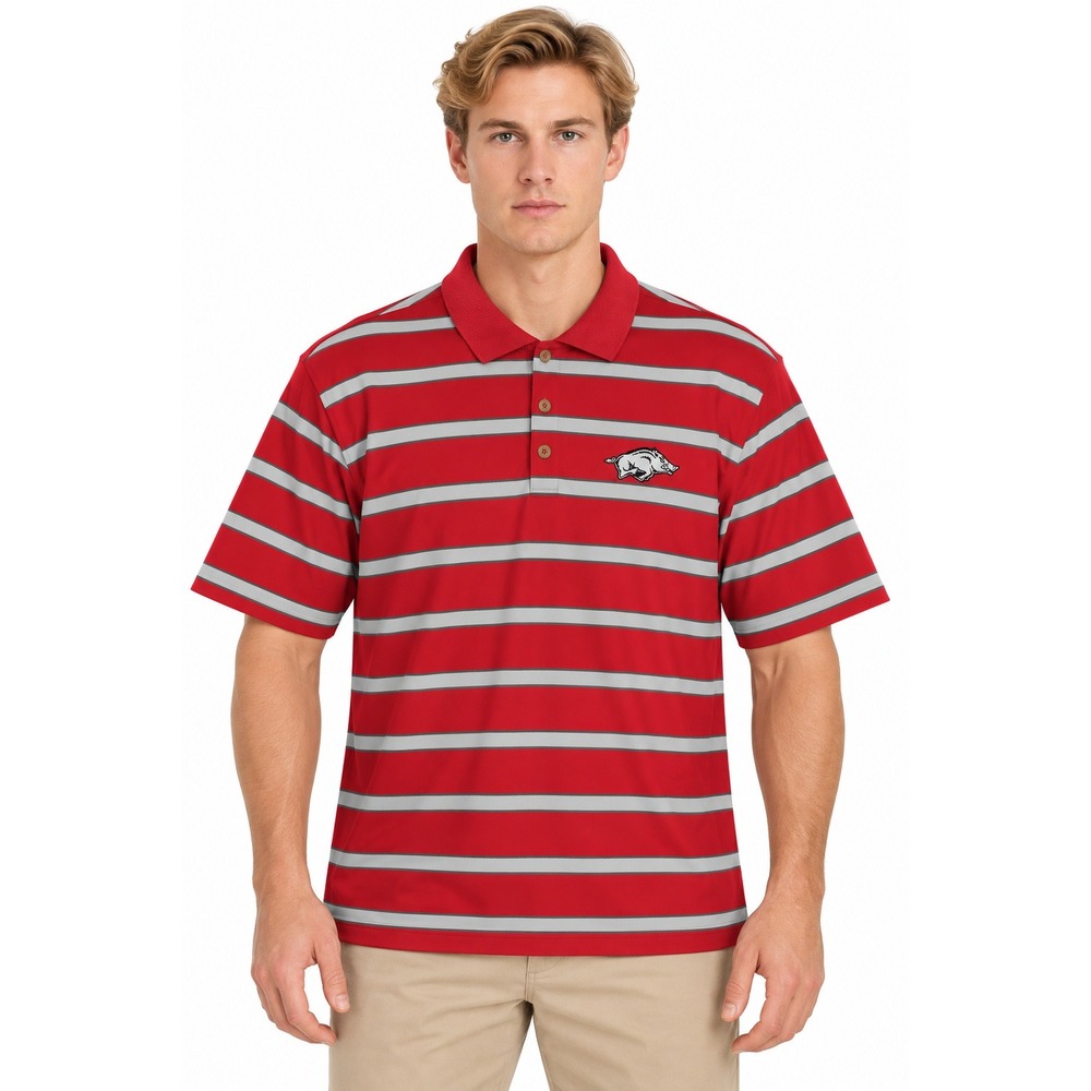 Nike Golf Polo Men's Size XL Red Striped Arkansas Razorbacks Dri-FIT University
